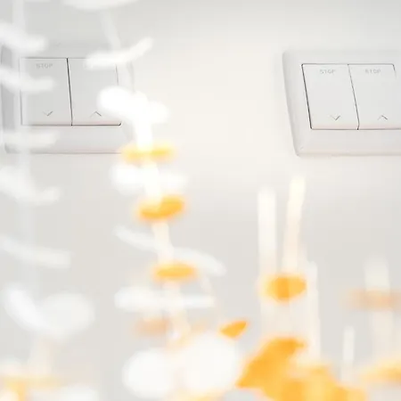 Akicity Alameda Mint