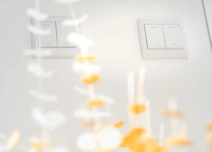 Akicity Alameda Mint