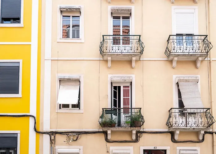 Akicity Alameda Mint Лісабон